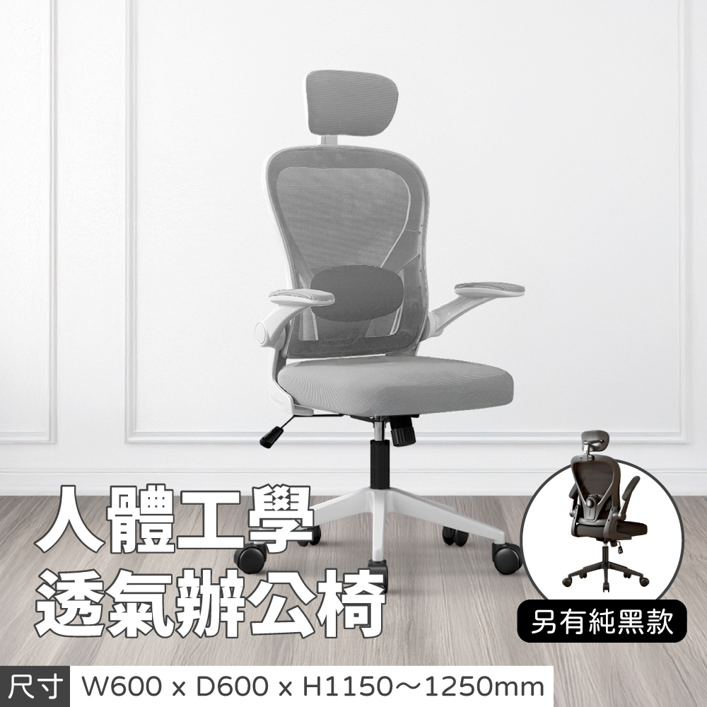 人體工學透氣辦公椅